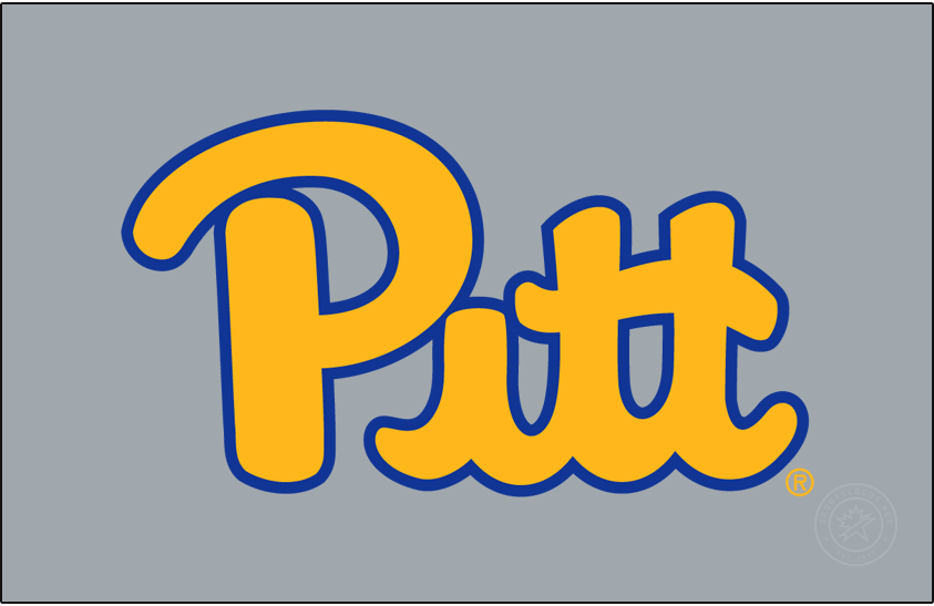 Pittsburgh Panthers 2019-Pres Primary Dark Logo v2 diy iron on heat transfer